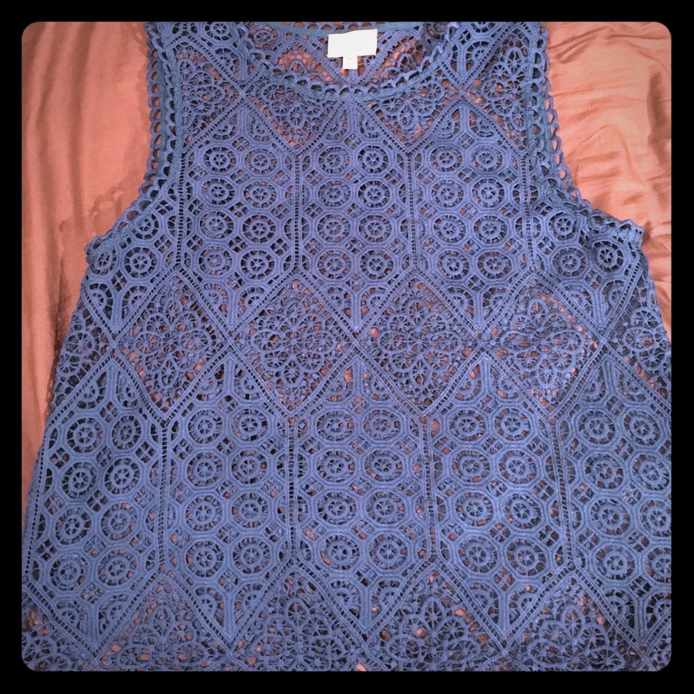 Blue lace shell, M