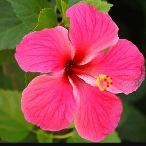 Meet your Posher, Eden