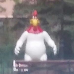 Meet your Posher, Vanessa