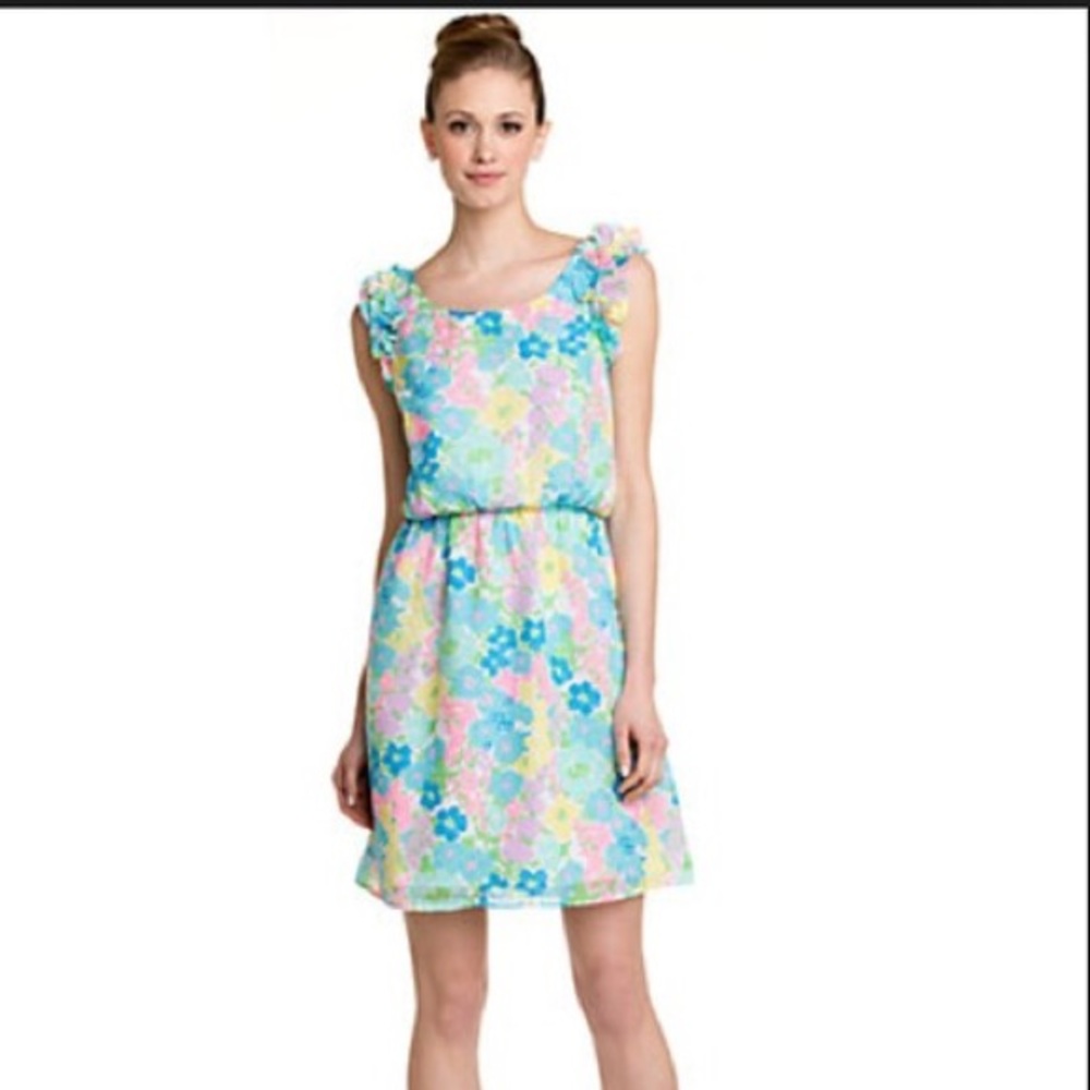 LILLY PULITZER "SPRING FLING" DANNA DRESS.  XL
