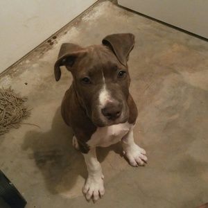 Meet your Posher, Terrence