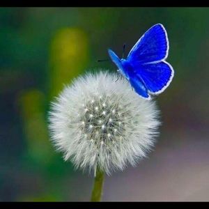 Meet your Posher, Keri