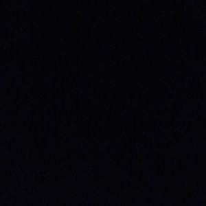 Meet your Posher, Maia