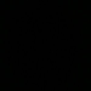 Meet your Posher, Terrell