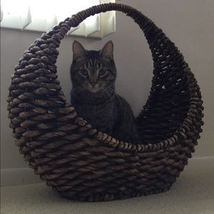 Meet your Posher, Valerie