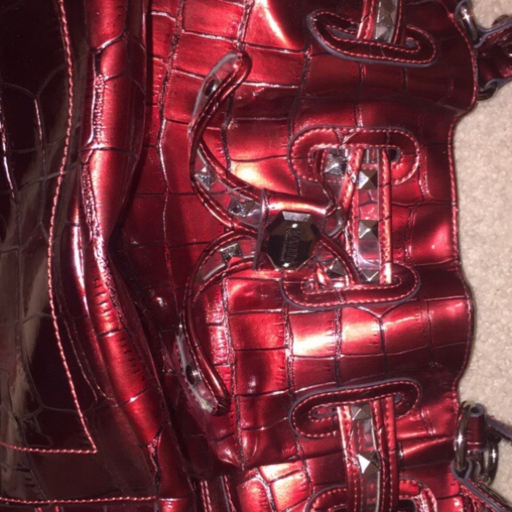 Kathy van zeeland purse