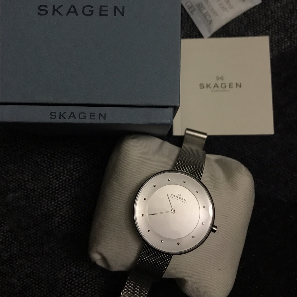 Skagen Watch.