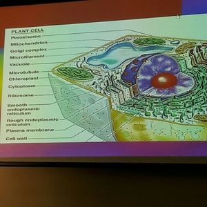 Meet your Posher, Patricia