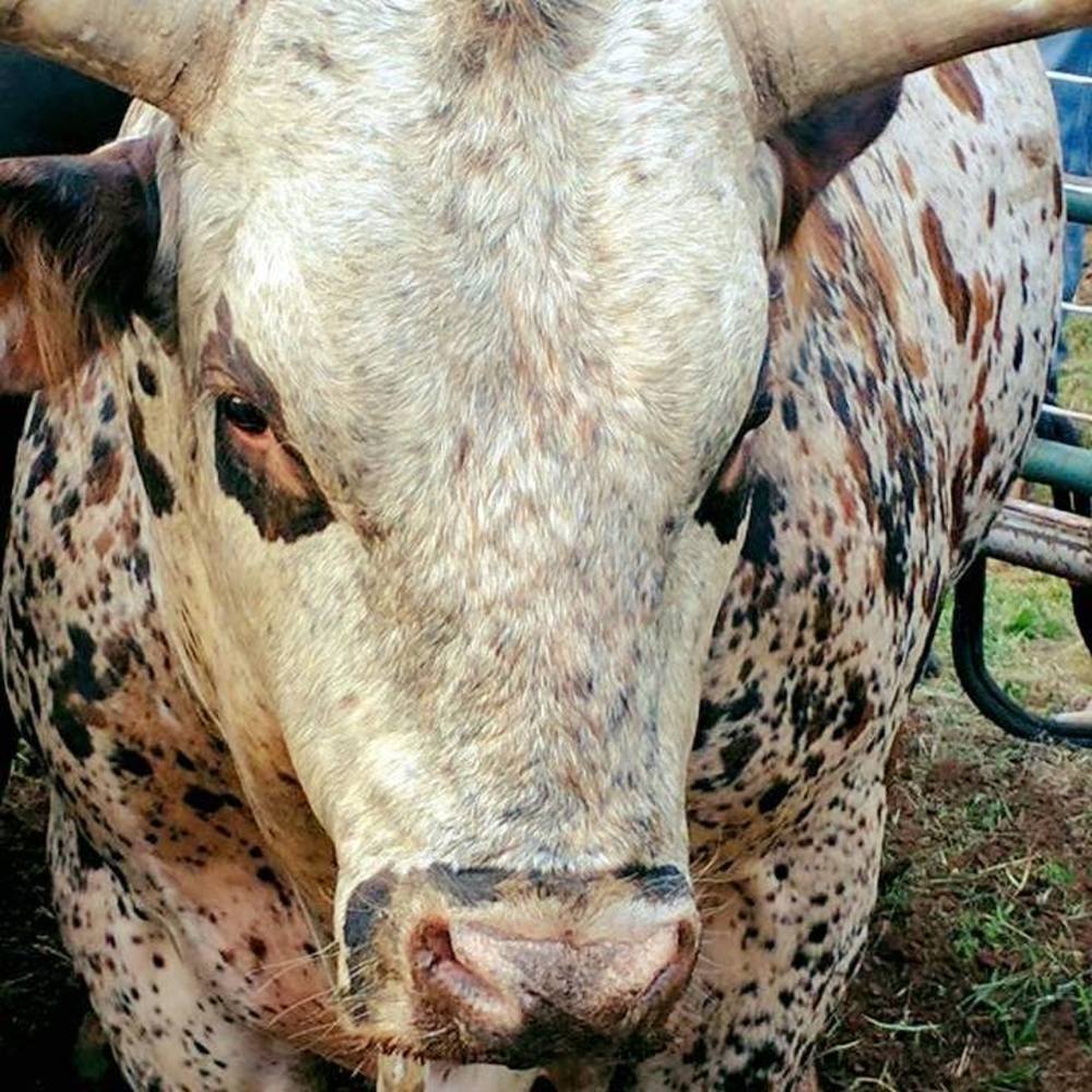 Meet your Posher, Tamela