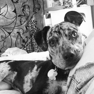 Meet your Posher, Laura