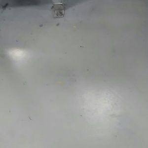 Meet your Posher, Gabrielle