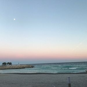 Meet your Posher, Suzanne