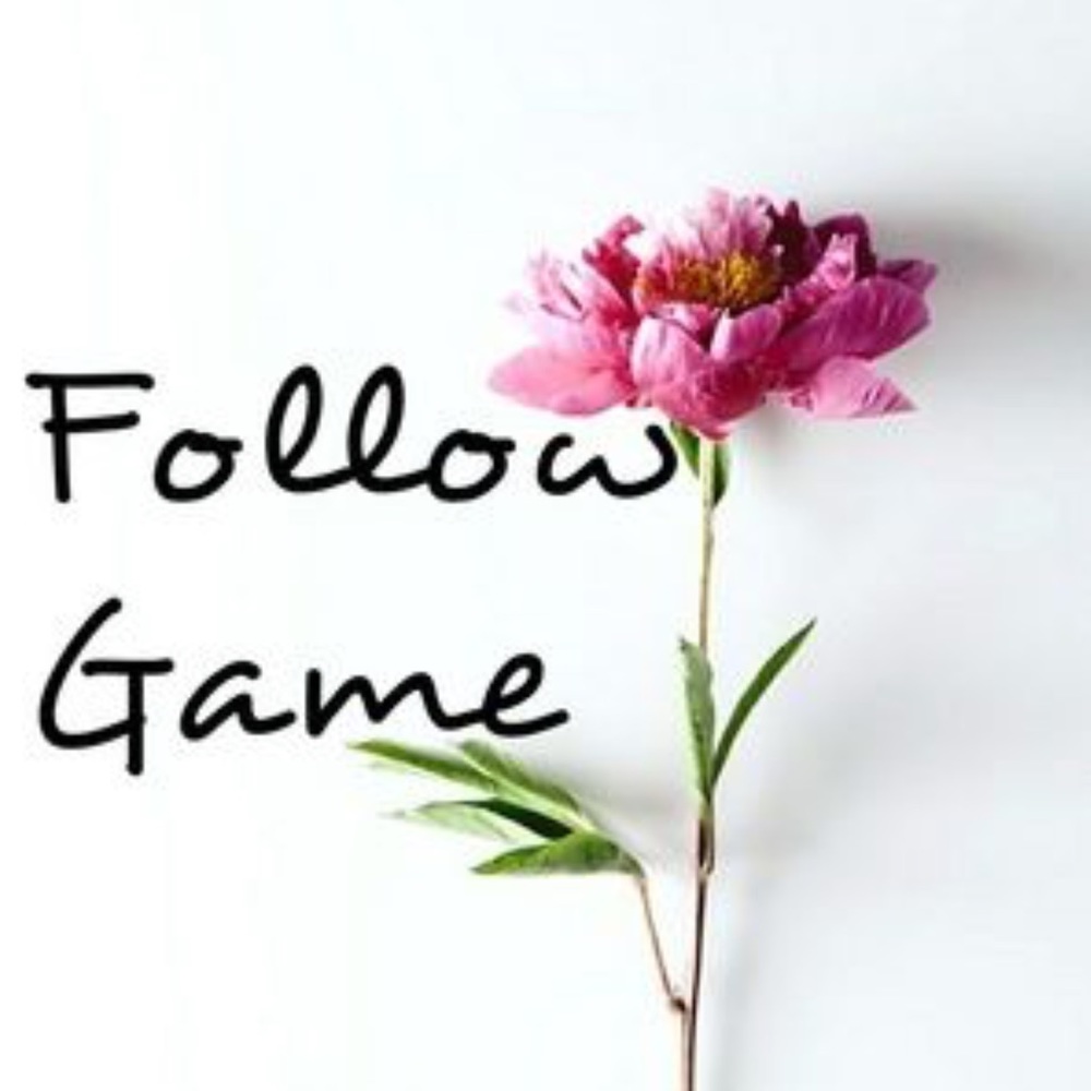 FOLLOW GAME 💓💓GAIN MORE FOLLOWERS