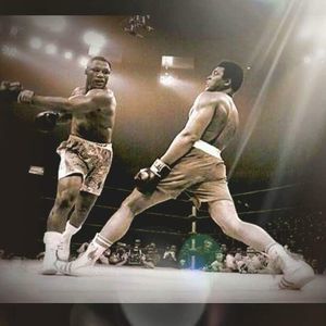 Meet your Posher, Tony