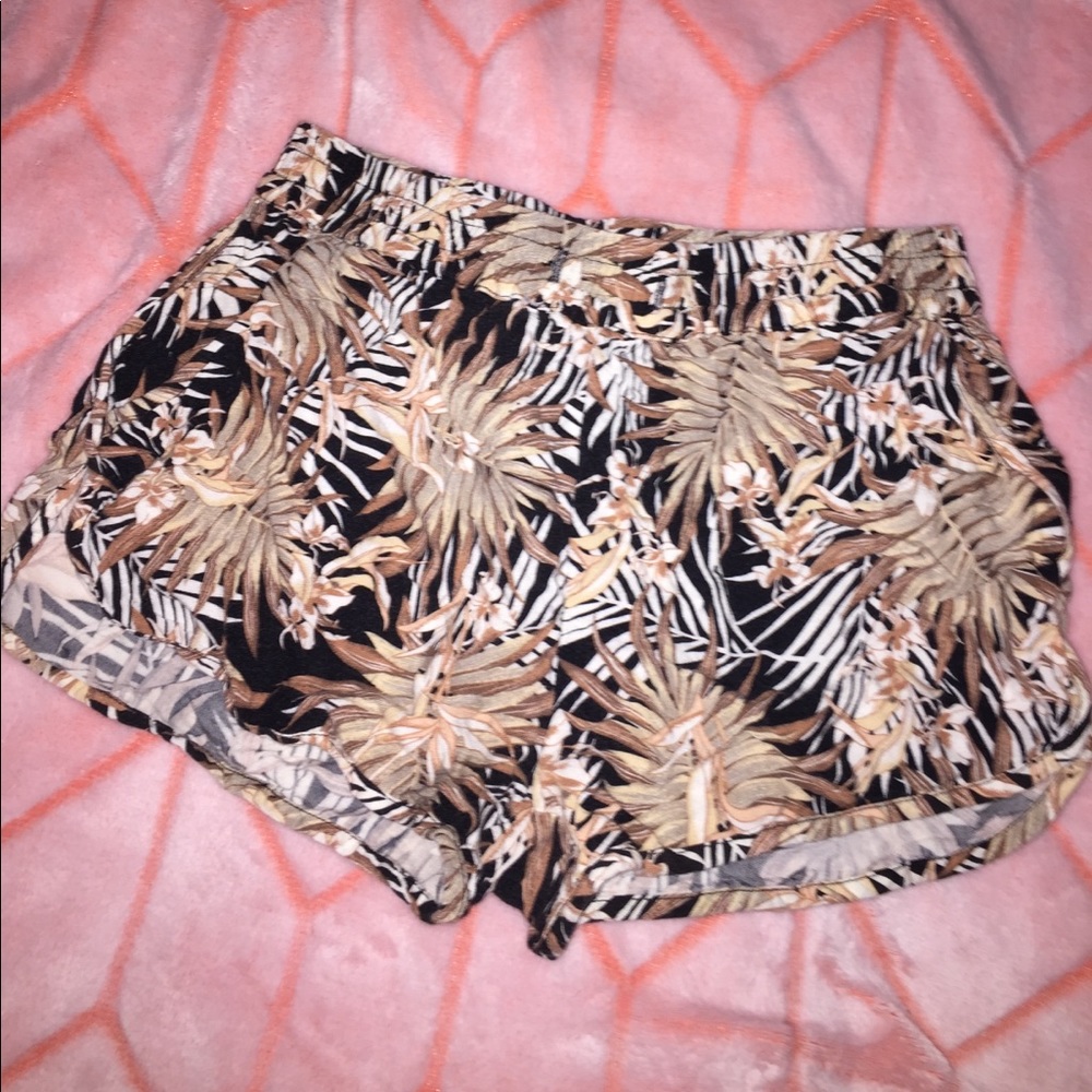 Palm Tree Dolphin Shorts