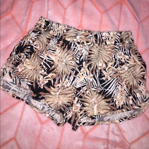 Palm Tree Dolphin Shorts