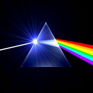 Meet your Posher, Karolyn