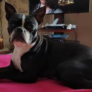 Meet your Posher, Candi