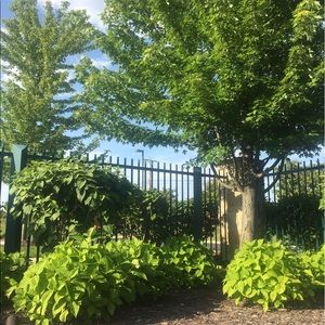 Meet your Posher, Elena