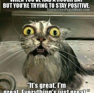 Meet your Posher, Janice