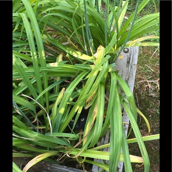 Meet your Posher, Jill - Picture 1 of 1