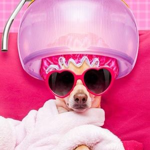 Meet your Posher, Maggie