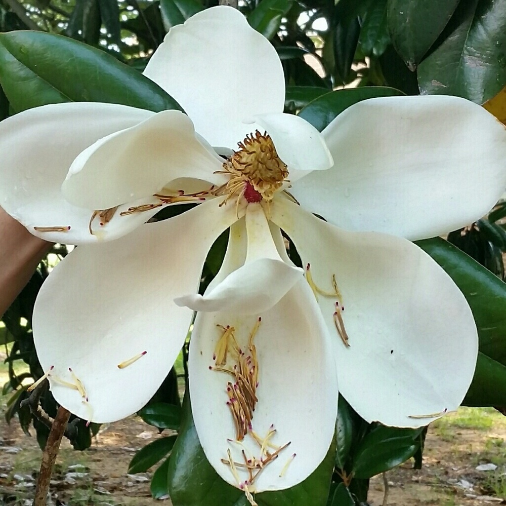 Meet your Posher, Mariah