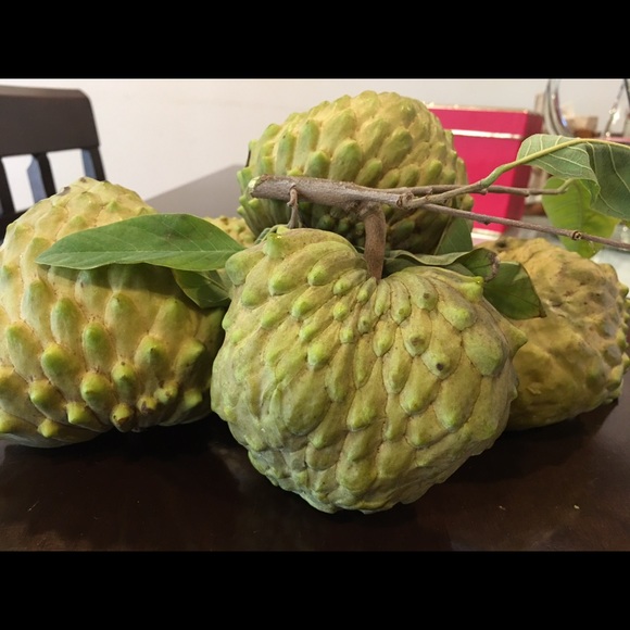 Meet your Posher, Linh - Picture 1 of 1