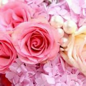 Meet your Posher, Jaclyn