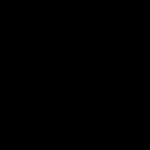 Meet your Posher, Cassi