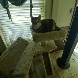 Meet your Posher, Brenda