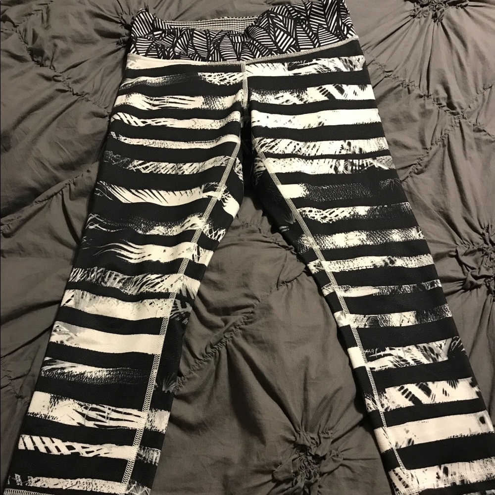 Shady palms wuc size 6