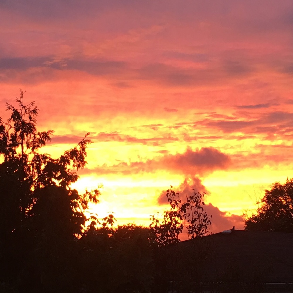 Meet your Posher Amy