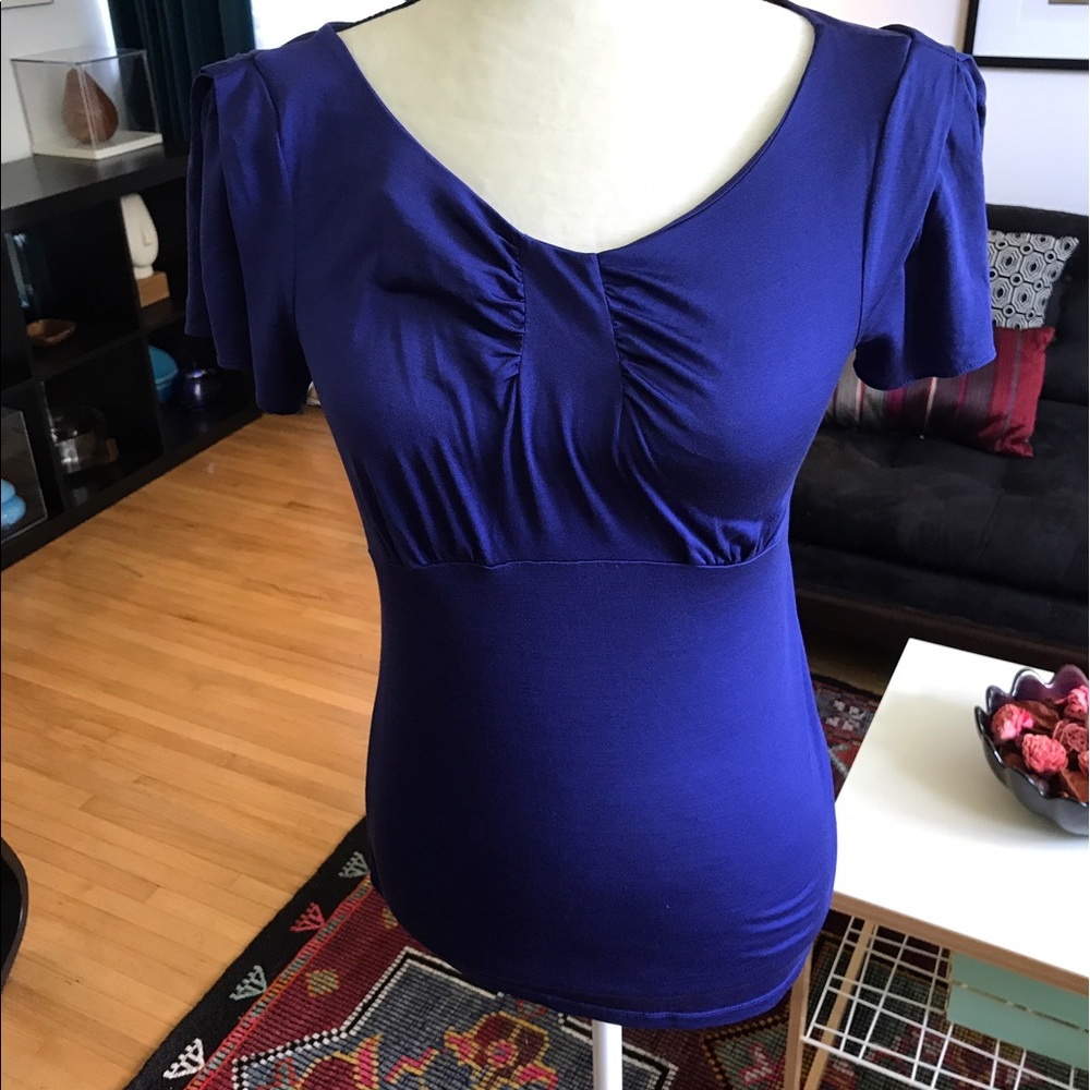 Banana Republic Royal Blue Silk Tee