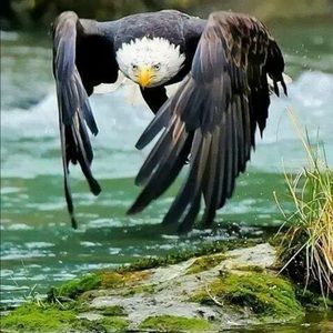 Meet your Posher, Kevin