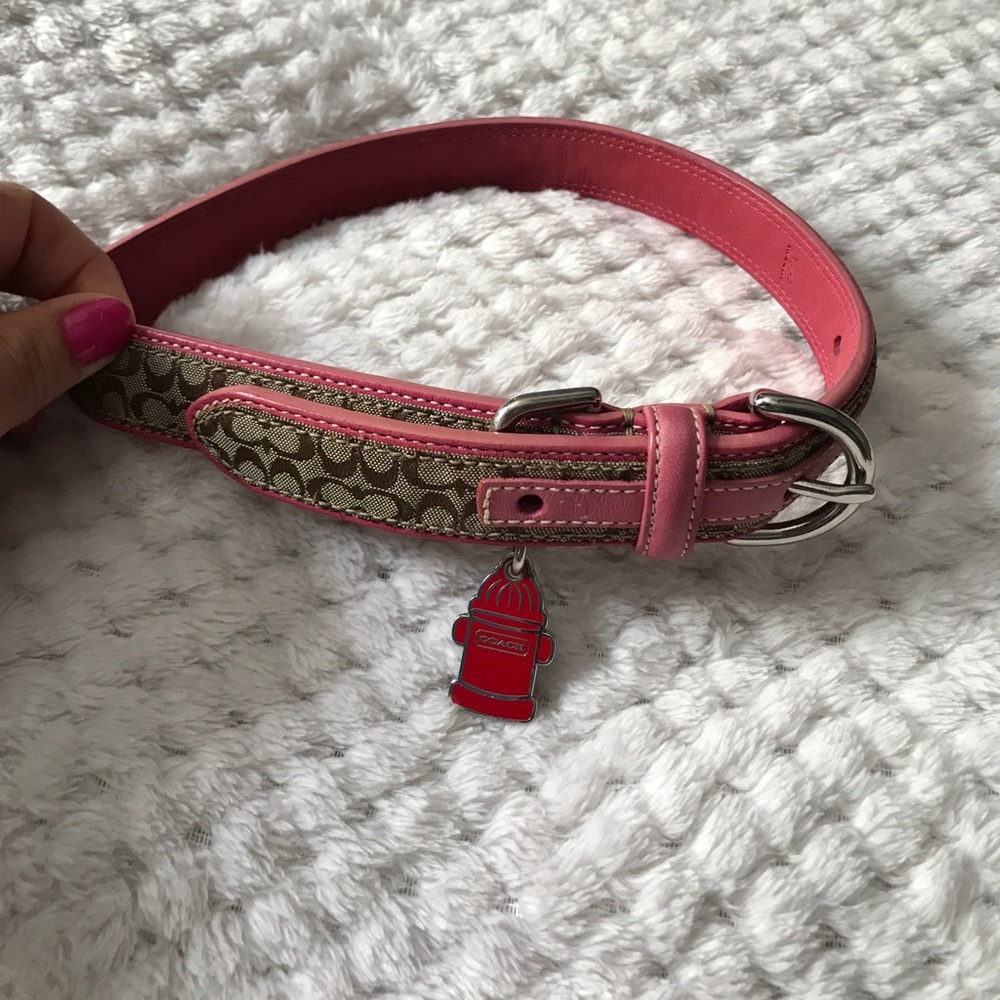 Coach dog collar, never used!