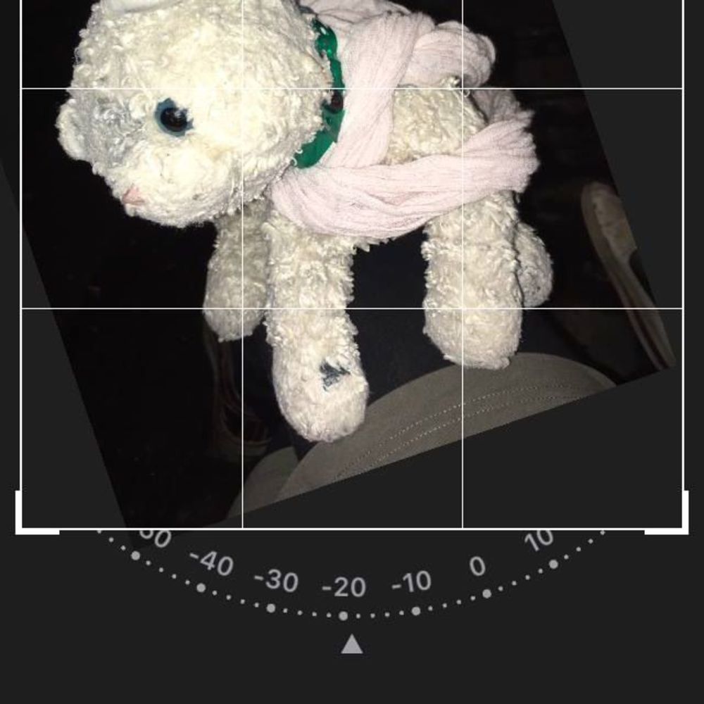 Meet your Posher, Cherry