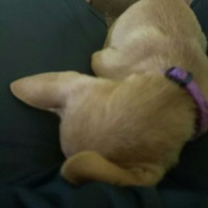 Meet your Posher, Ted