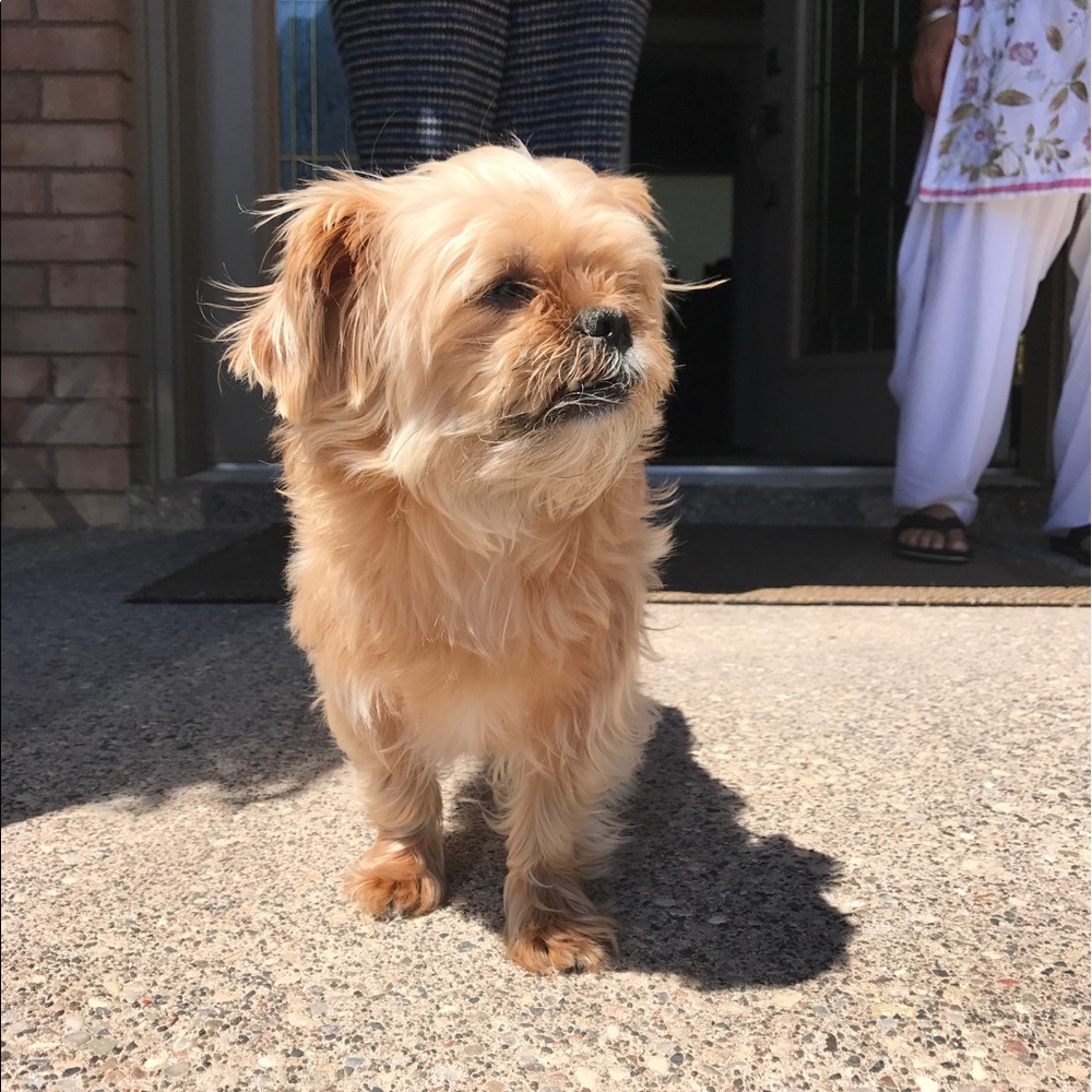 Meet your Posher, Justin