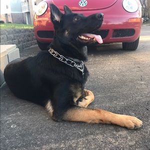 Meet your Posher, Tina