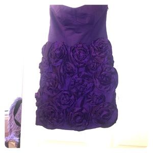 Purple cynthia Steffe cocktail dress