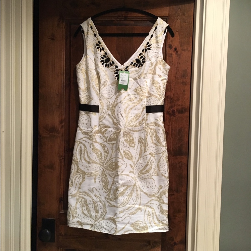 NWT Laidley Dress Sneak a Peak 10
