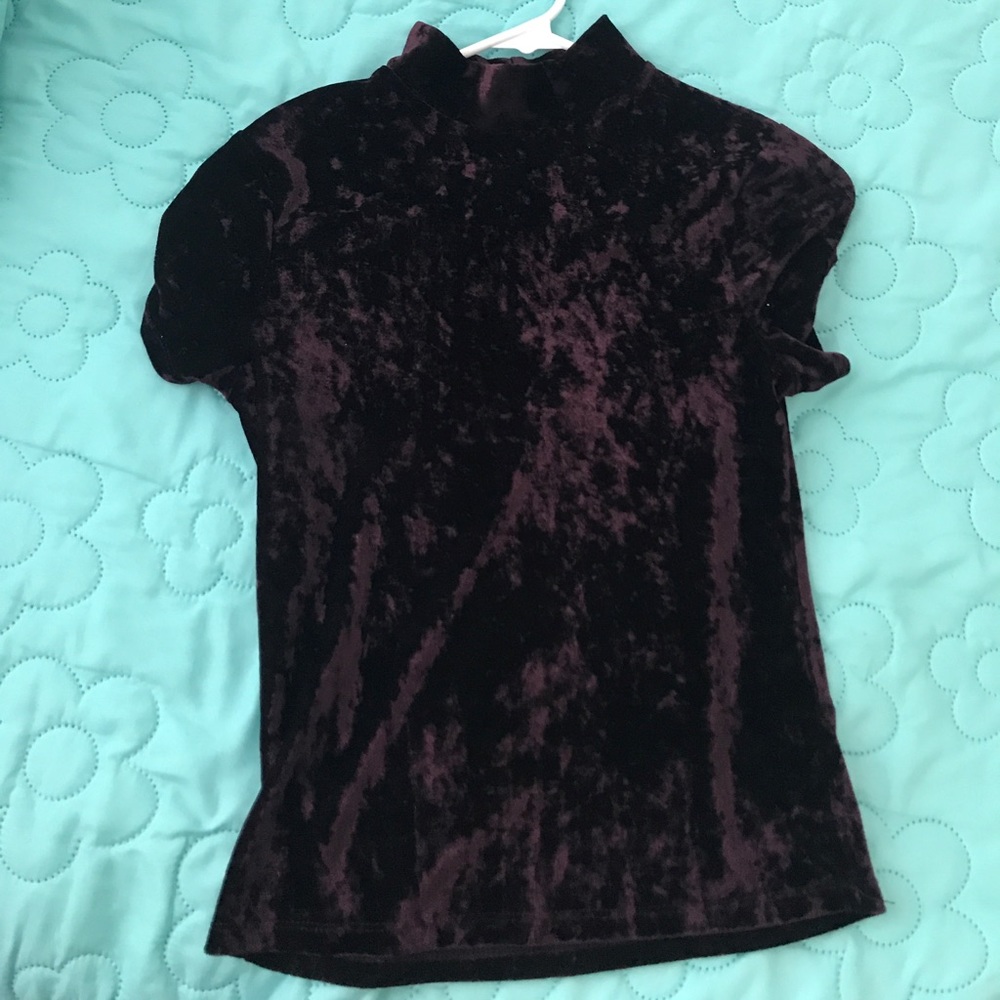 Velvet turtle neck top