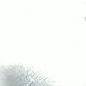 Meet your Posher, Skylar