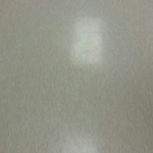 Meet your Posher, Elisha