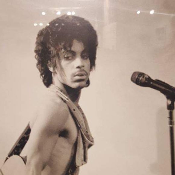 Meet your Posher, Shellisa - Picture 1 of 1