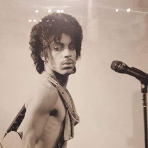 Meet your Posher, Shellisa