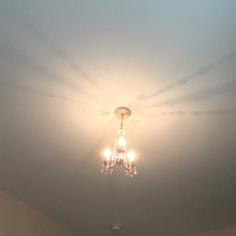 Meet your Posher, Sophie