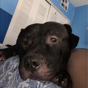 Meet your Posher, Crystal