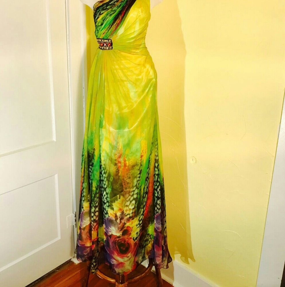 Anny Lee chiffon dress - Picture 5 of 8